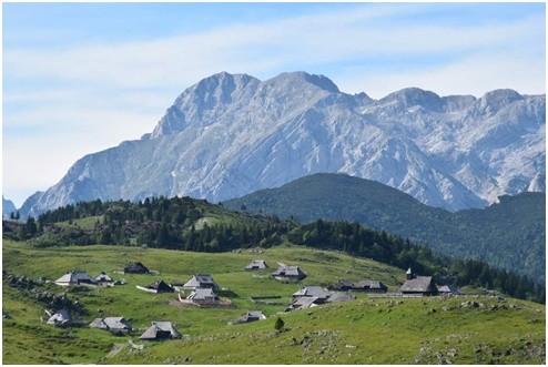 VELIKA PLANINA